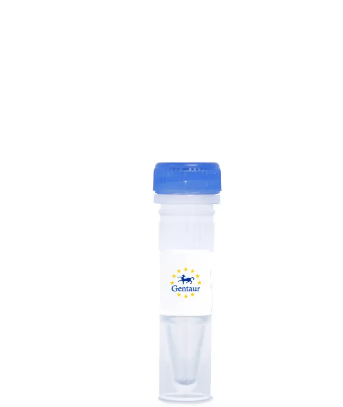 Anti-Cholera Toxin A Antibody